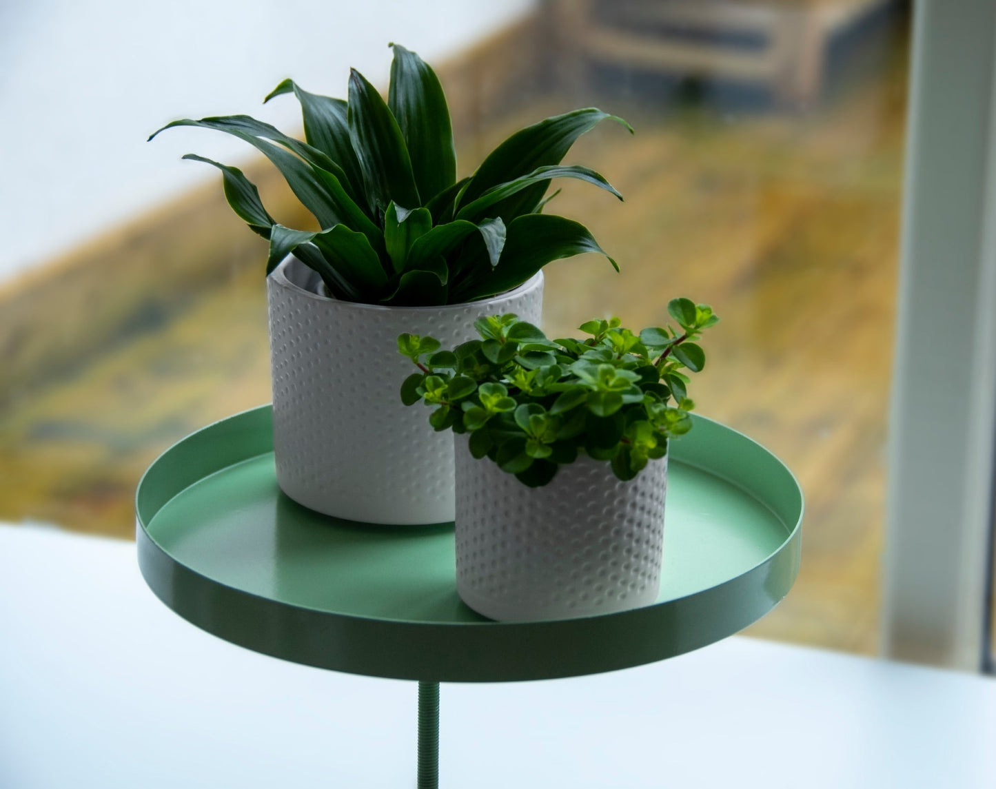 Plateau de serrage rond vert L