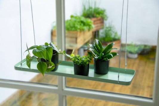 Rectangular Green Window Hanging Tray L