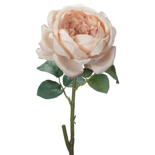 Artificial Cottage Rose Blush