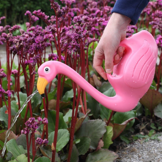 Watering Can Flamingo