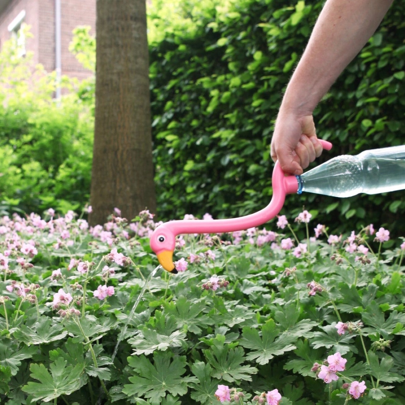 Bouteille Arrosoir Flamingo