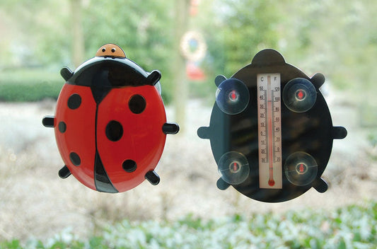 Thermomètre de fenêtre coccinelle
