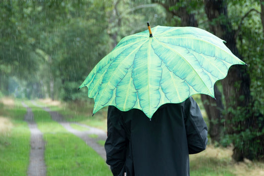 Umbrella Banana Leaves