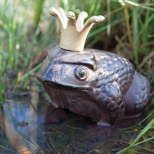 Frog With Crown
