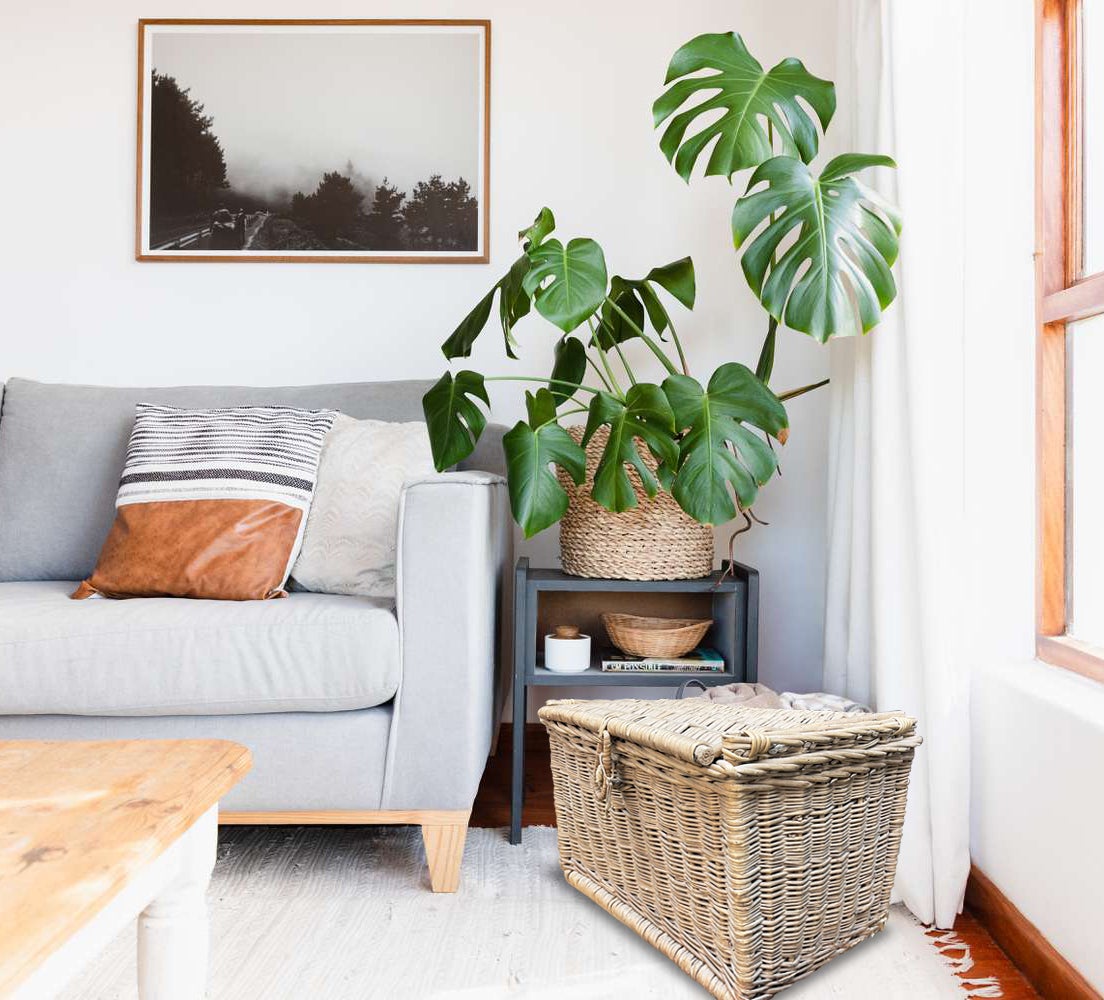 Large Antique French Baskets With Lid