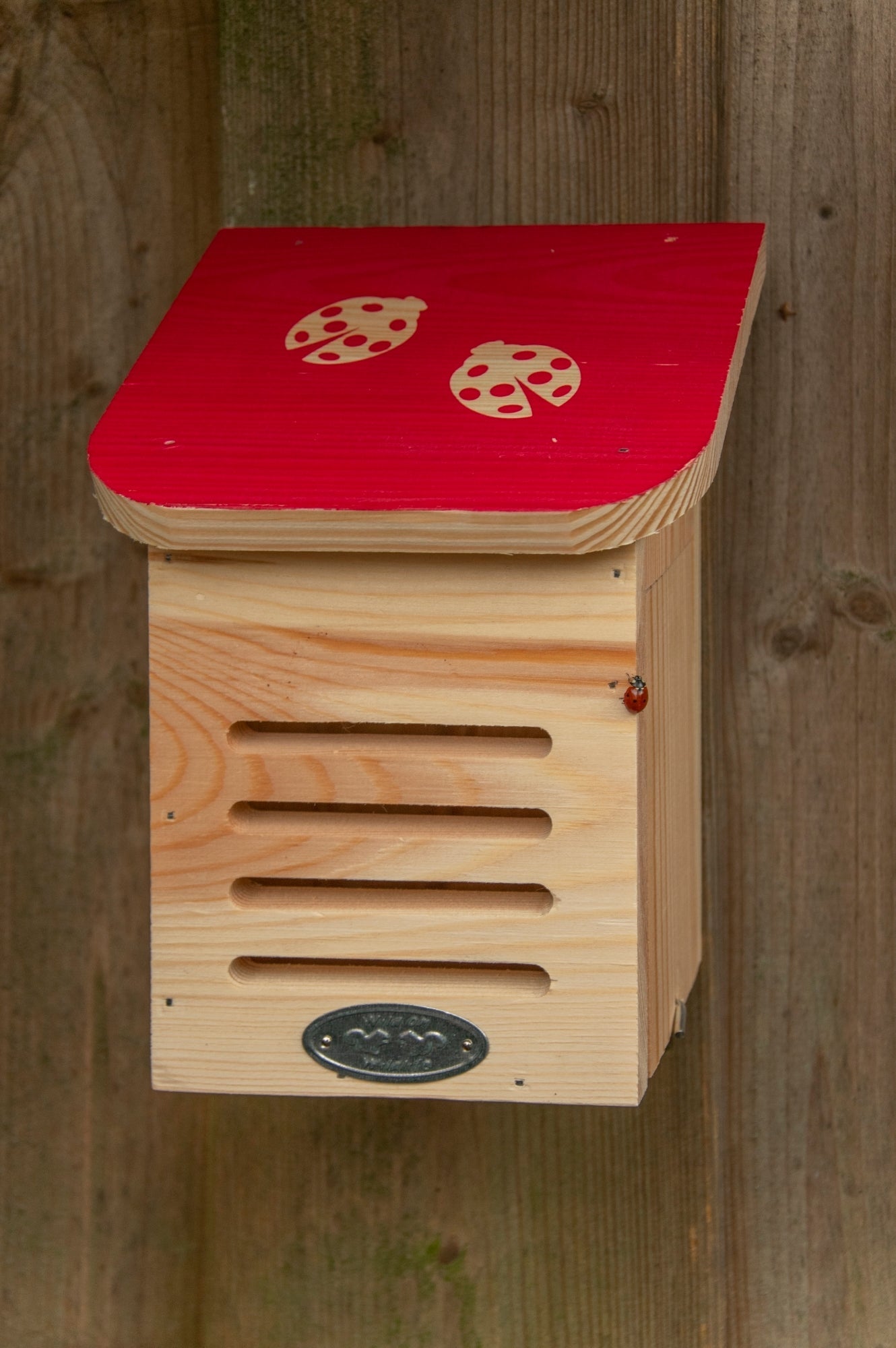 Diapositive Ladybird House