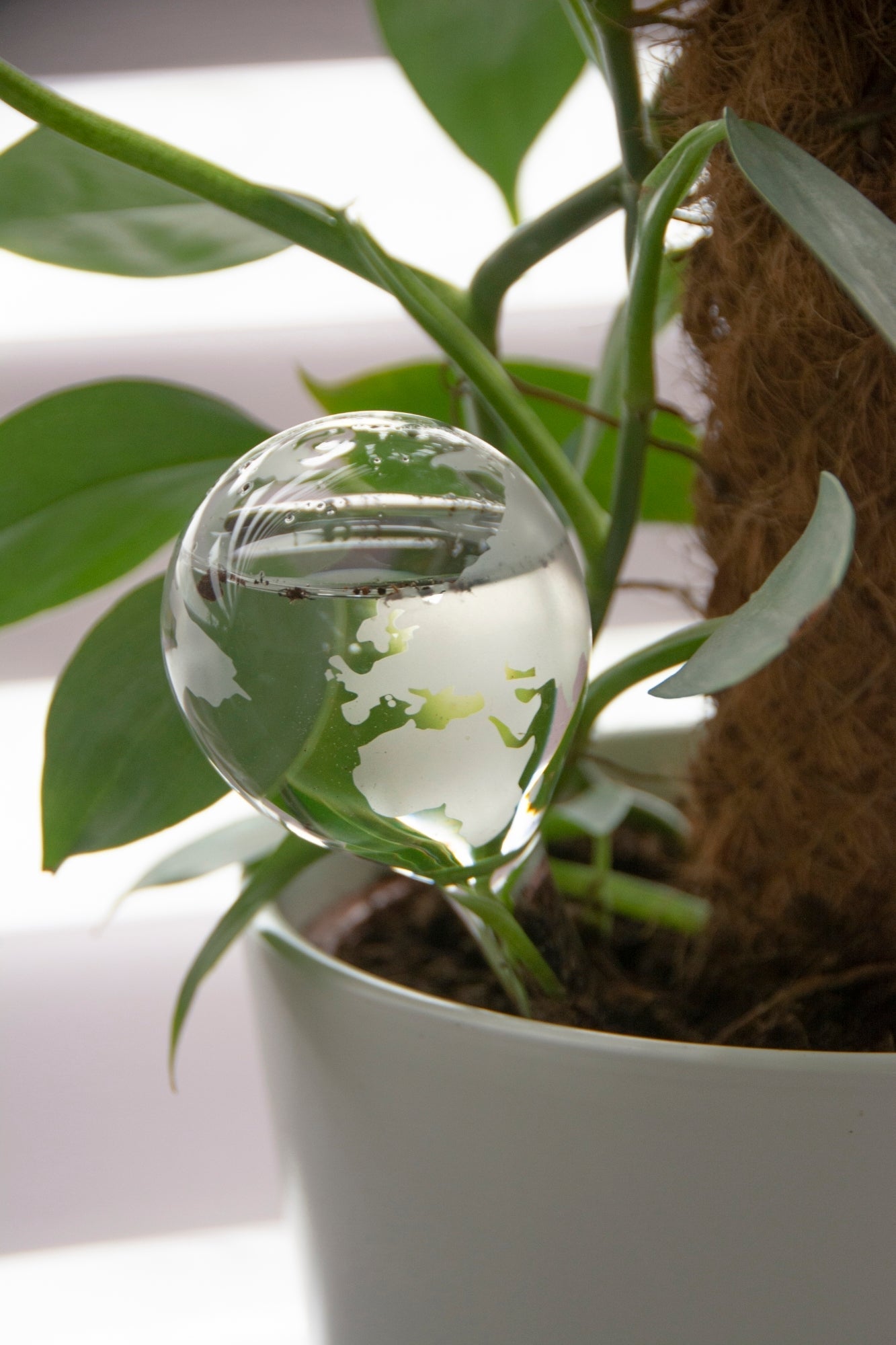Abreuvoir à plantes Globe
