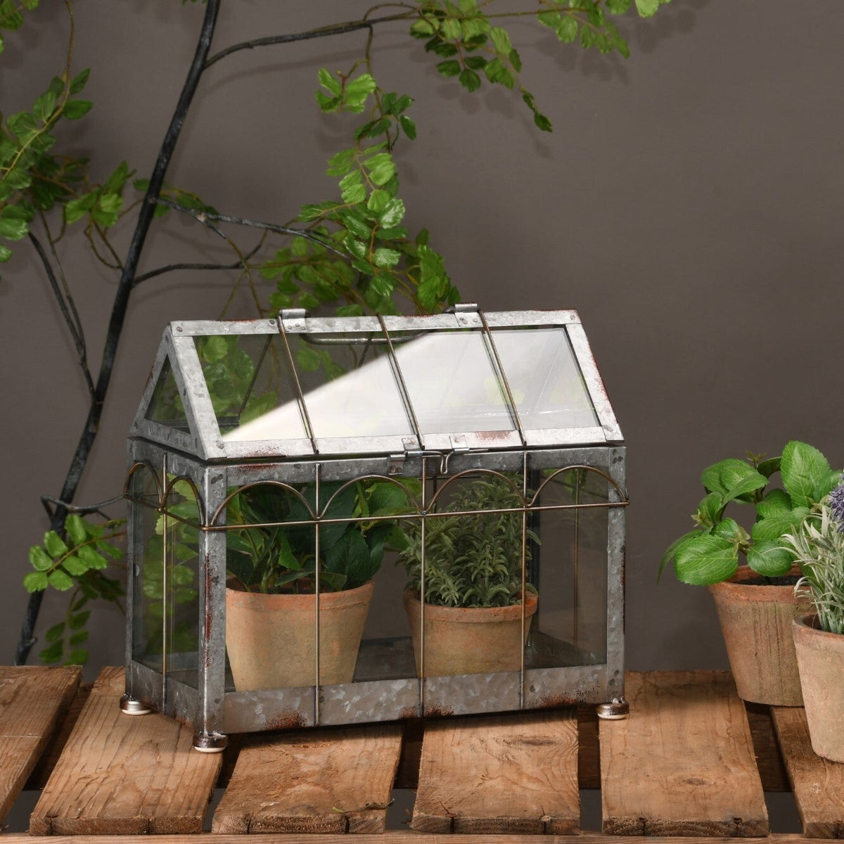 Green House S