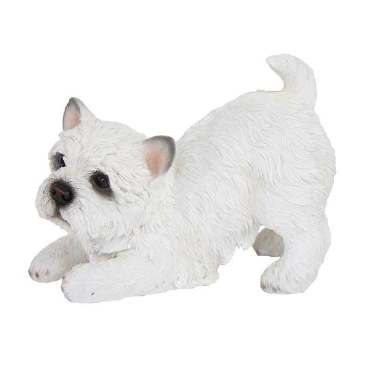 Jouer au West Highland Terrier