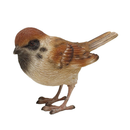 Sparrow