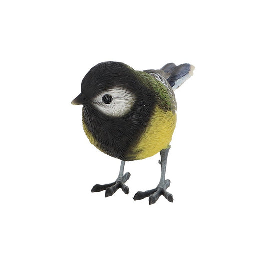 Mésange charbonnière