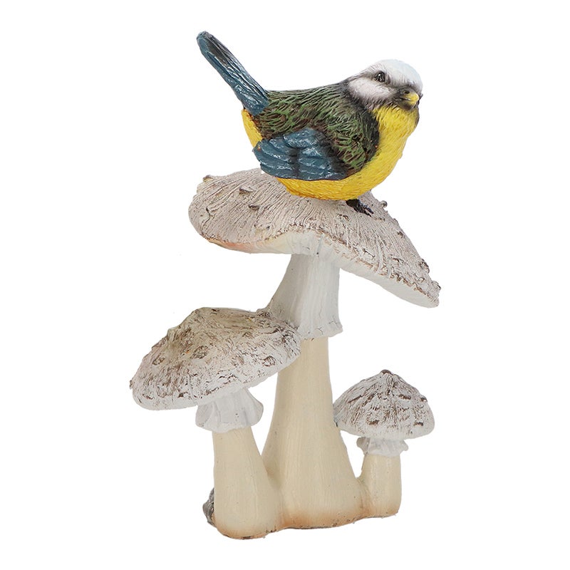 Mushroom With Bird S Ass.