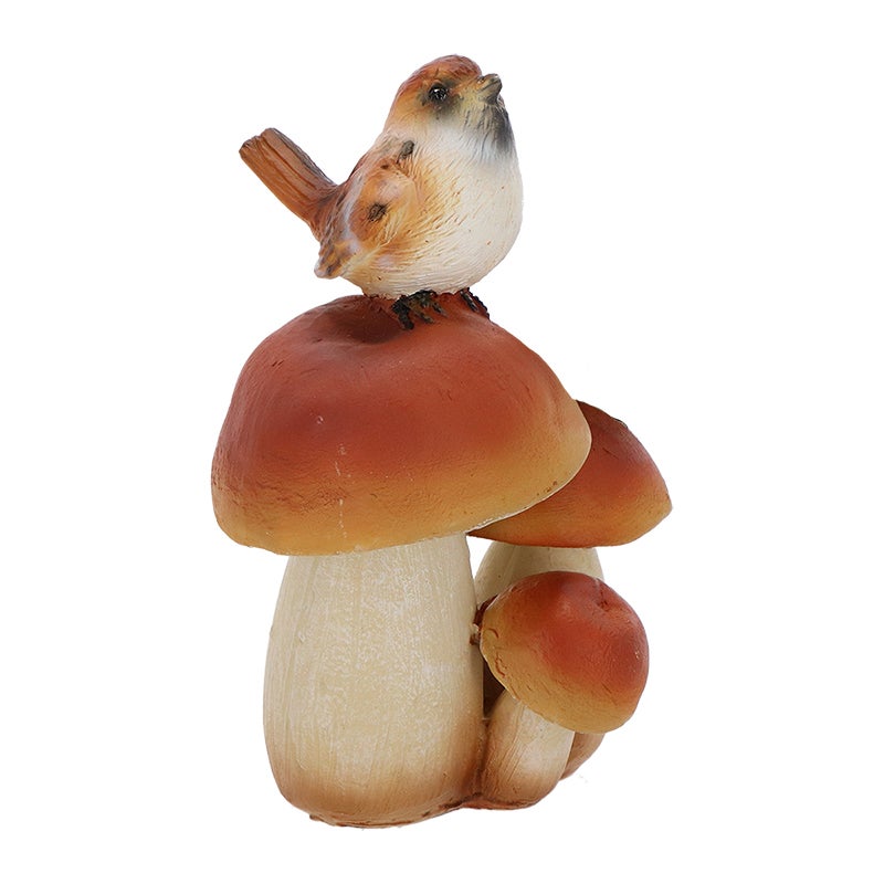 Mushroom With Bird S Ass.