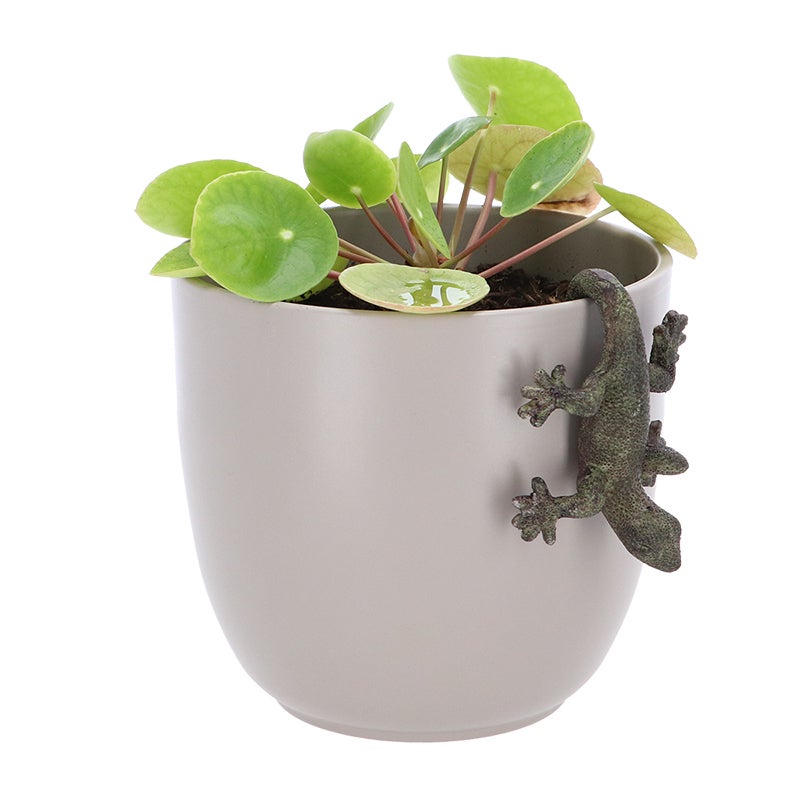 Flower Pot Hanger Lizard
