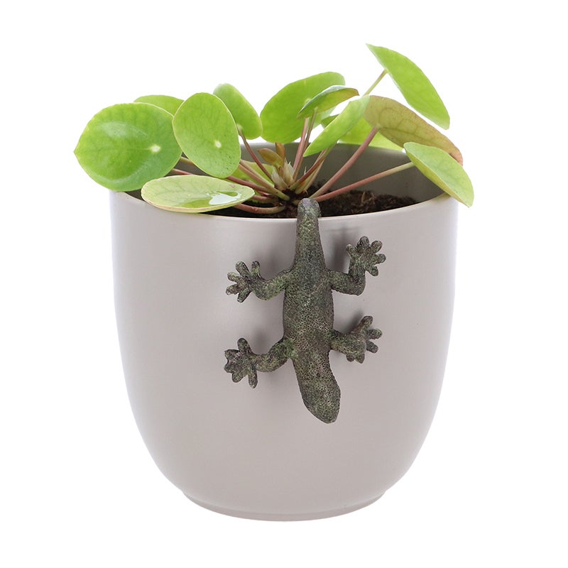 Flower Pot Hanger Lizard