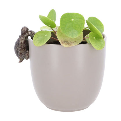 Flower Pot Hanger Turtle