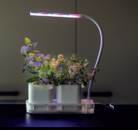Plant Grow Lamp With 2 Pots White