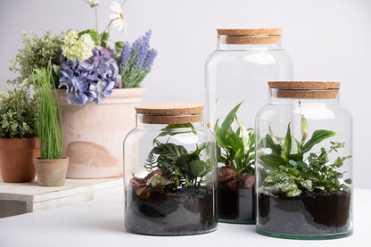 Half Open Terrarium Bottle S