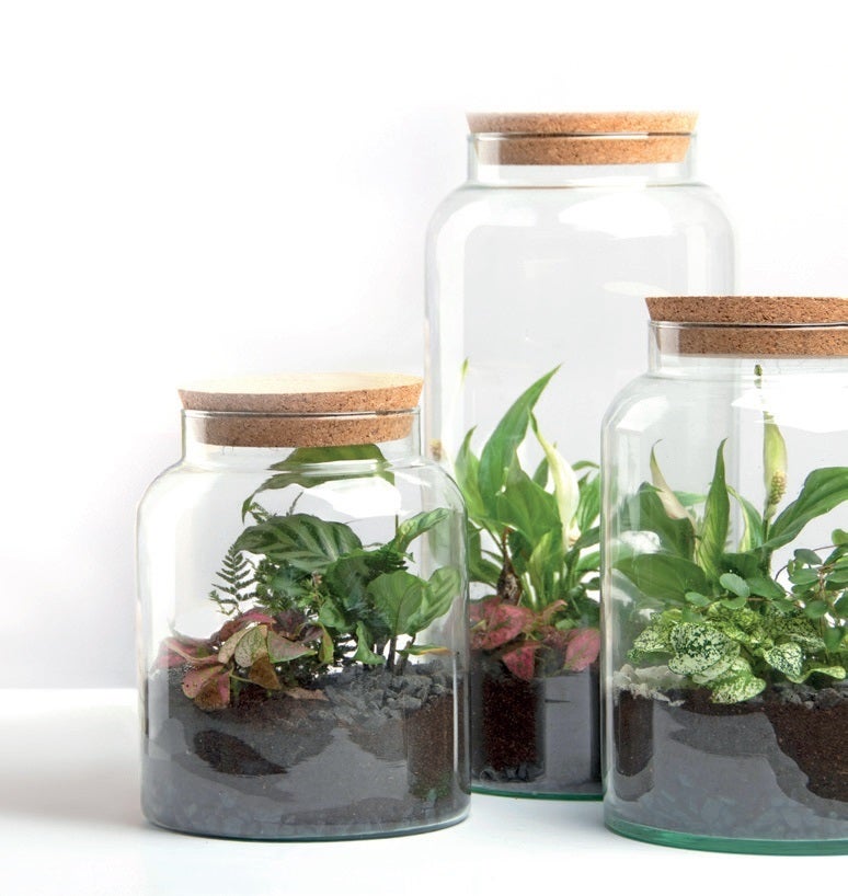 Half Open Terrarium Bottle S