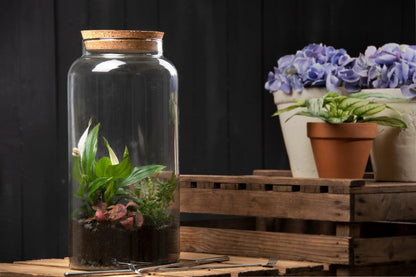 Half Open Terrarium Bottle L