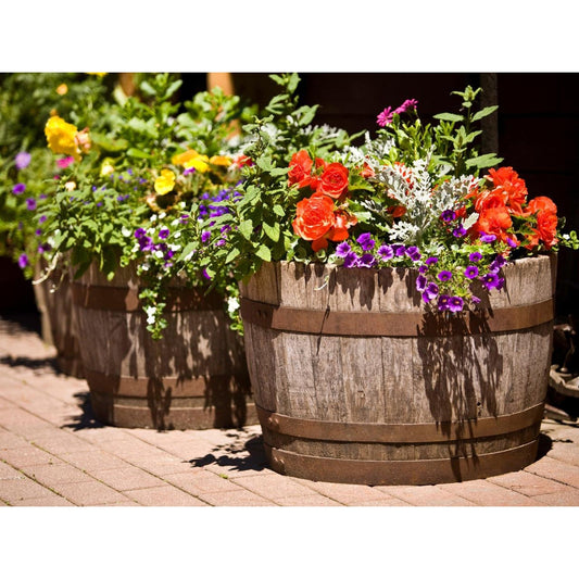 "Jardinière de jardin demi-tonneau, 17' de haut x 28' de large au niveau du ventre"