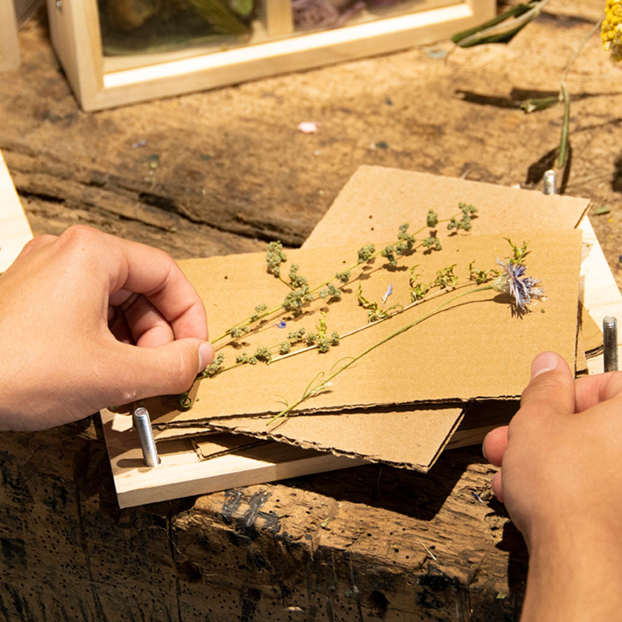 Flowers And Herbs Press