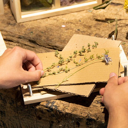 Flowers And Herbs Press