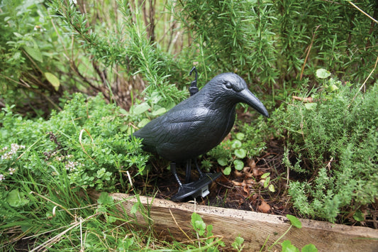 Pigeon Scarer
