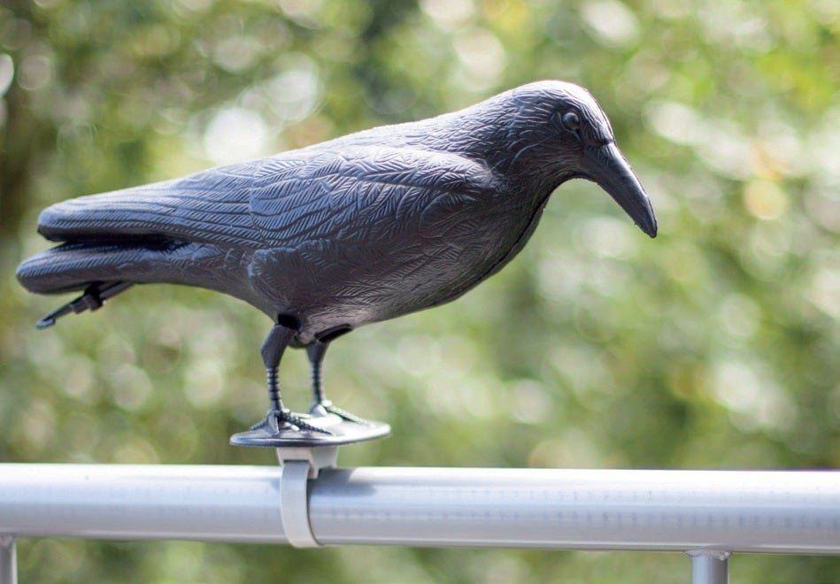 Pigeon Scarer