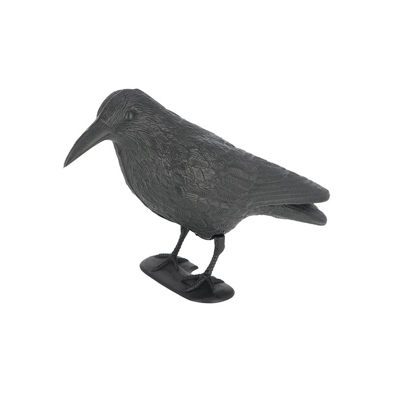 Pigeon Scarer