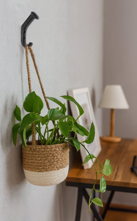 Double Hook Railway Nail Top