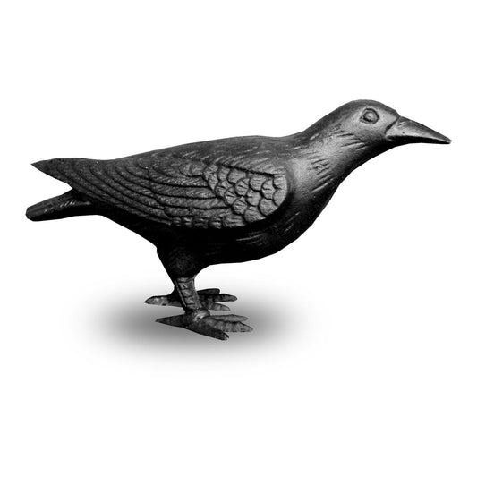Tête de corbeau en fonte, statuette de corbeau noir