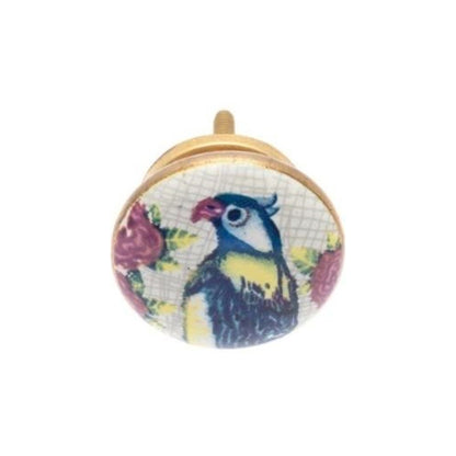 Ceramic Knob, Parrot