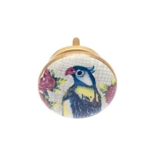 Ceramic Knob, Parrot