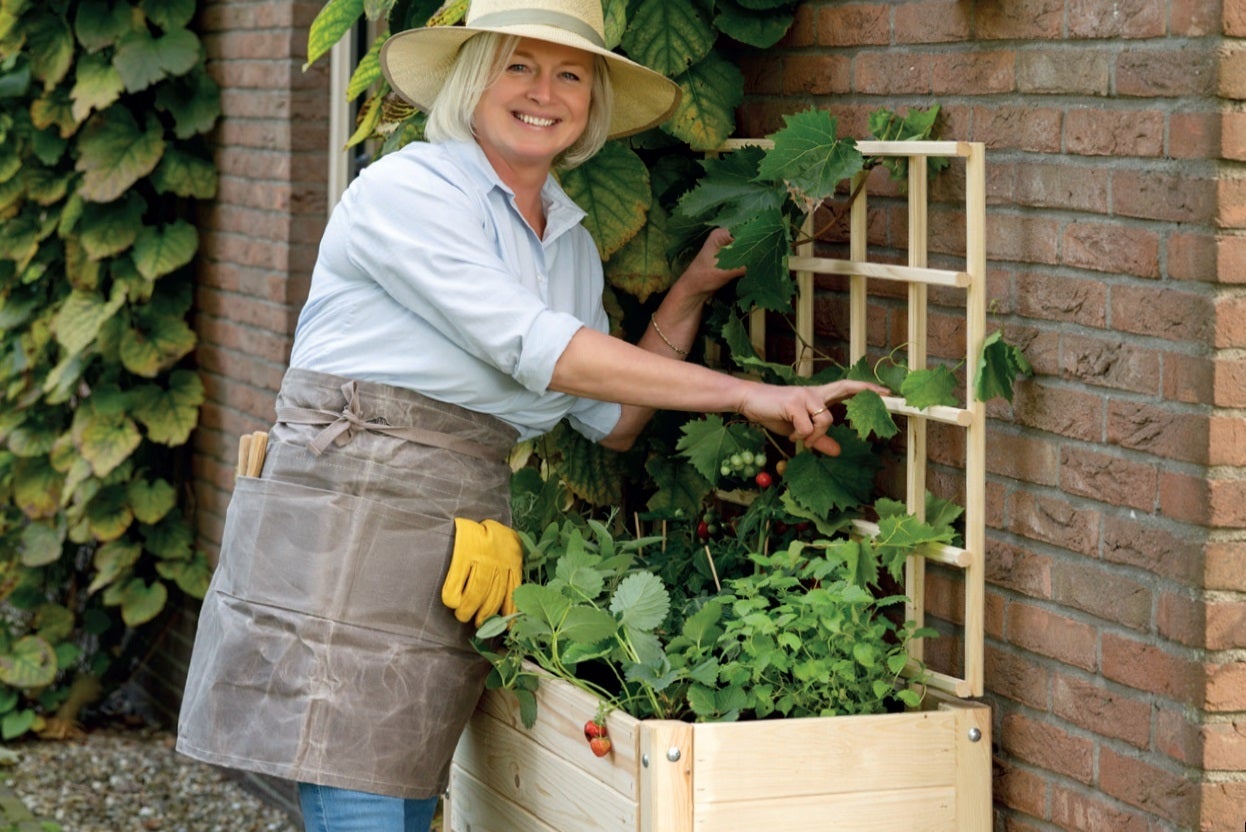 Blank Raised Bed L