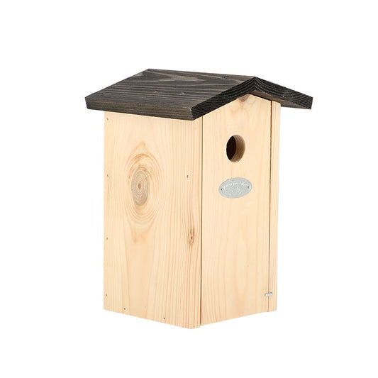 Birdhouse Blue Tit