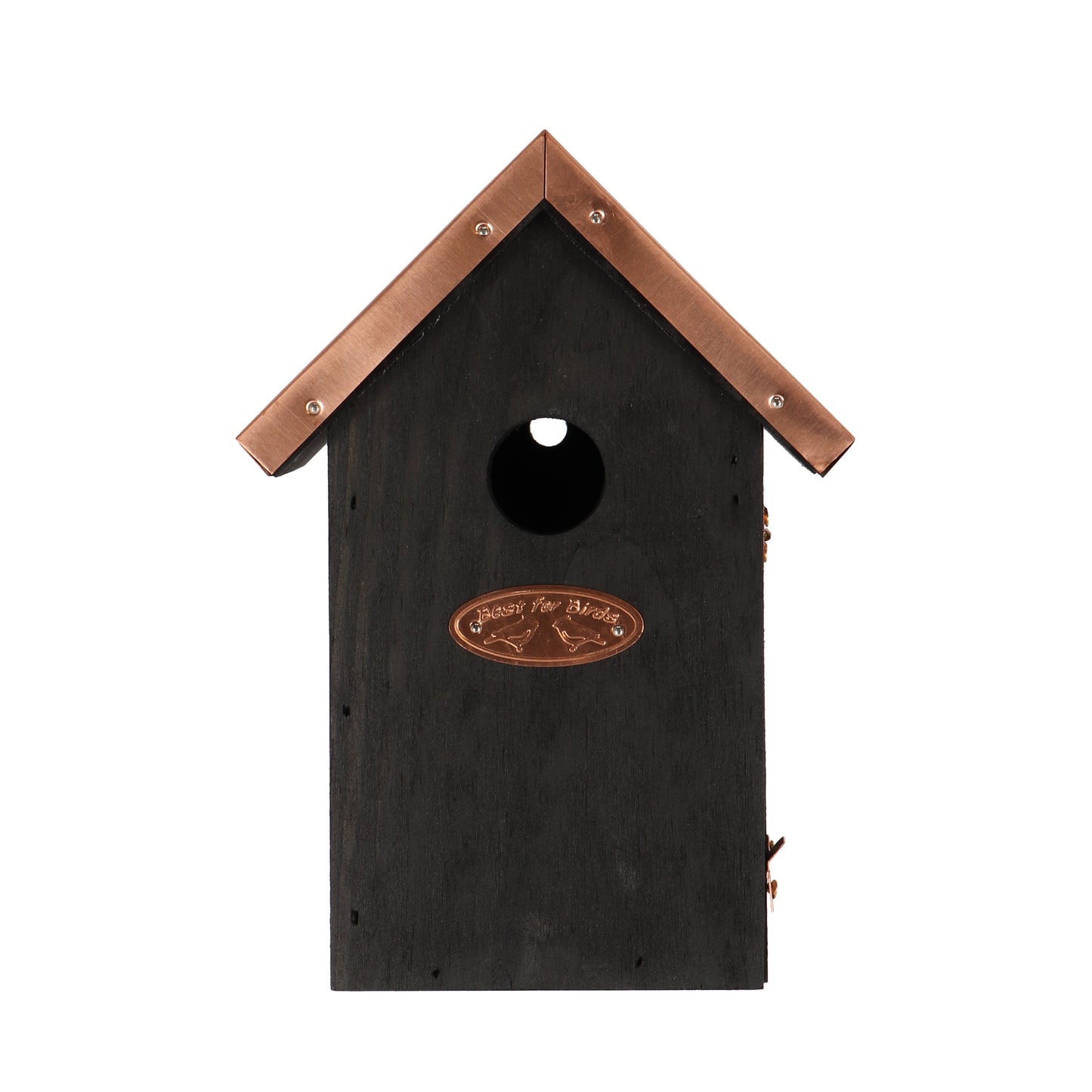 Bird House Black Copper Winter Wren