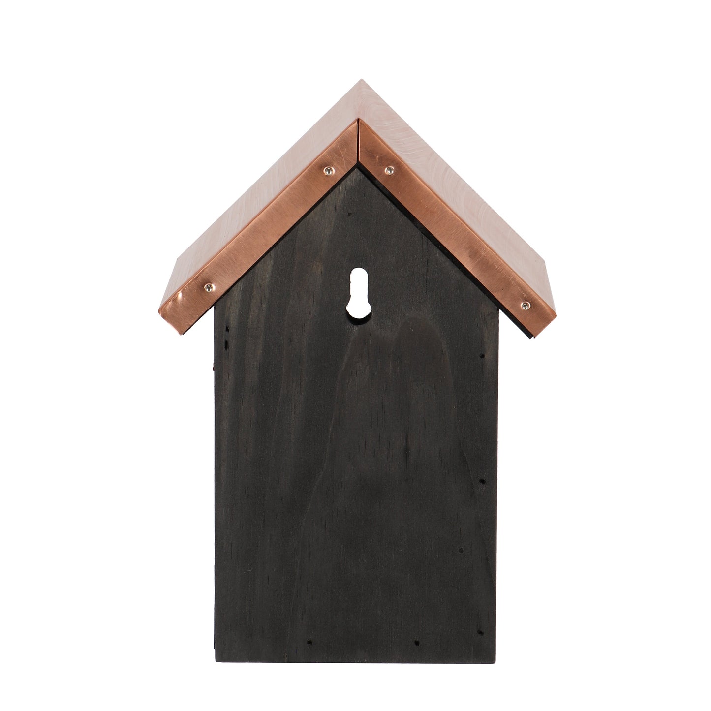 Bird House Black Copper Winter Wren