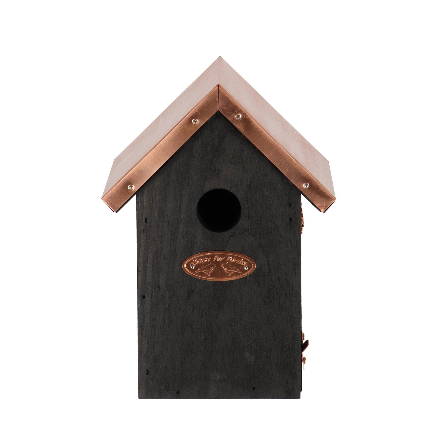 Bird House Black Copper Winter Wren