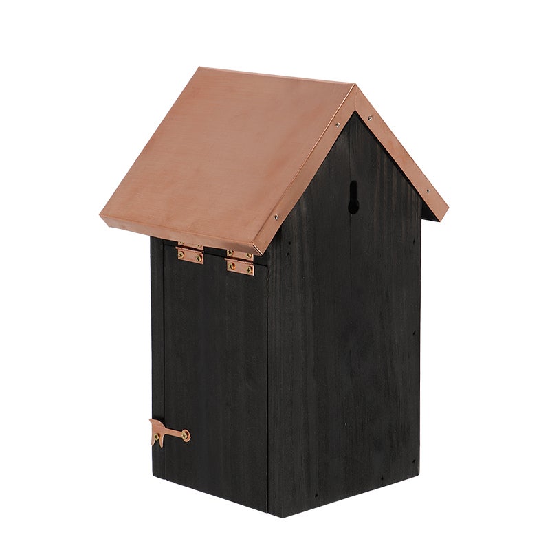 Bird House Black Copper Blue Tit