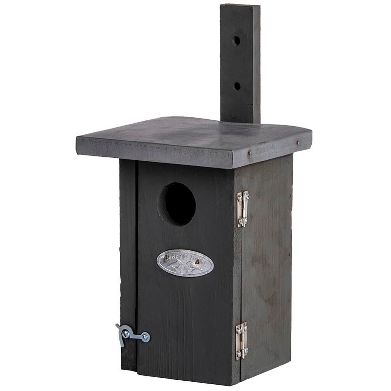 Nichoir Wren Gris