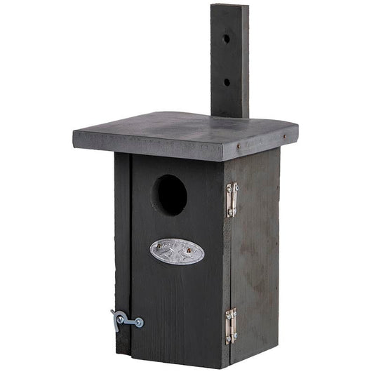 Nest Box Wren Grey