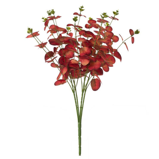 Eucalyptus Bundle X4
