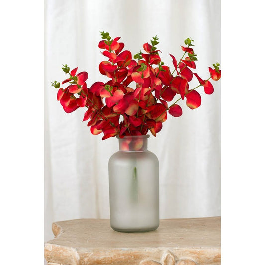 Eucalyptus Bundle X4