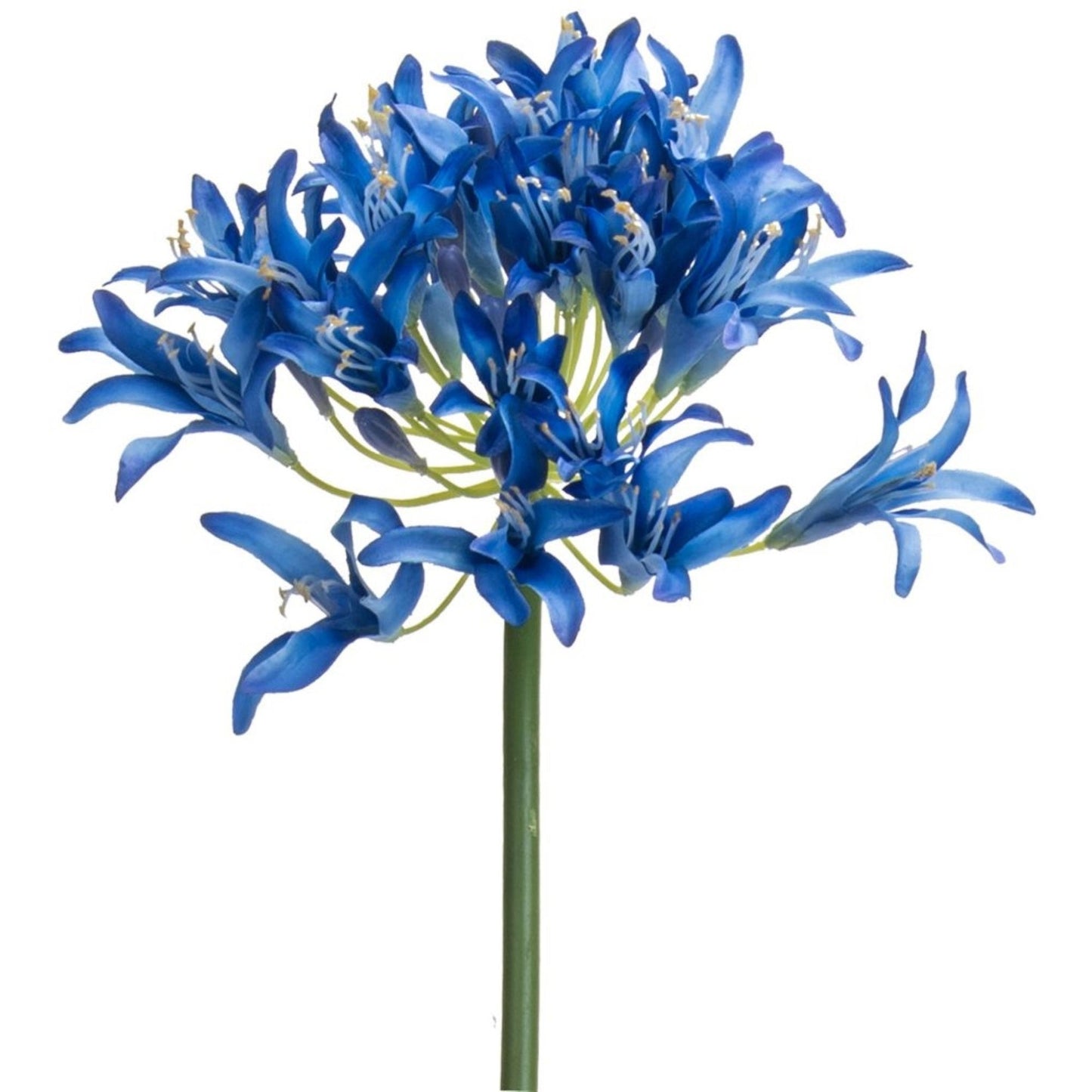 Tige d'Agapanthe Artificielle Bleu