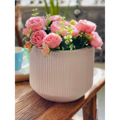 "Arbuste de Camélia Artificiel Rose Pâle, 5pcs"