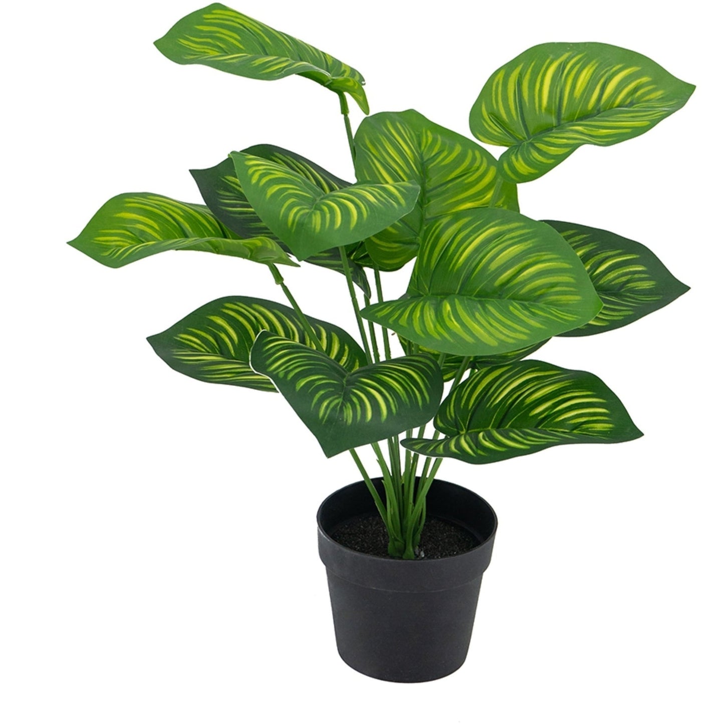 Plante artificielle Calathea Fasciata en pot