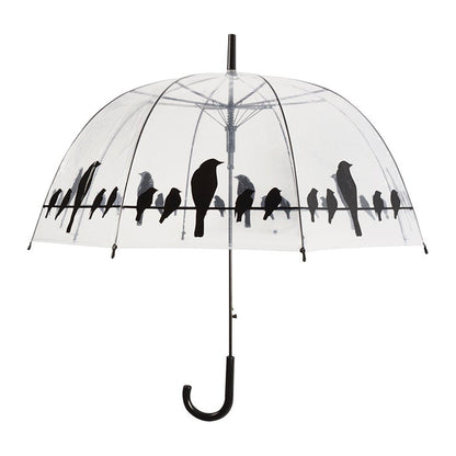 Umbrella Transparent Birds On Wire
