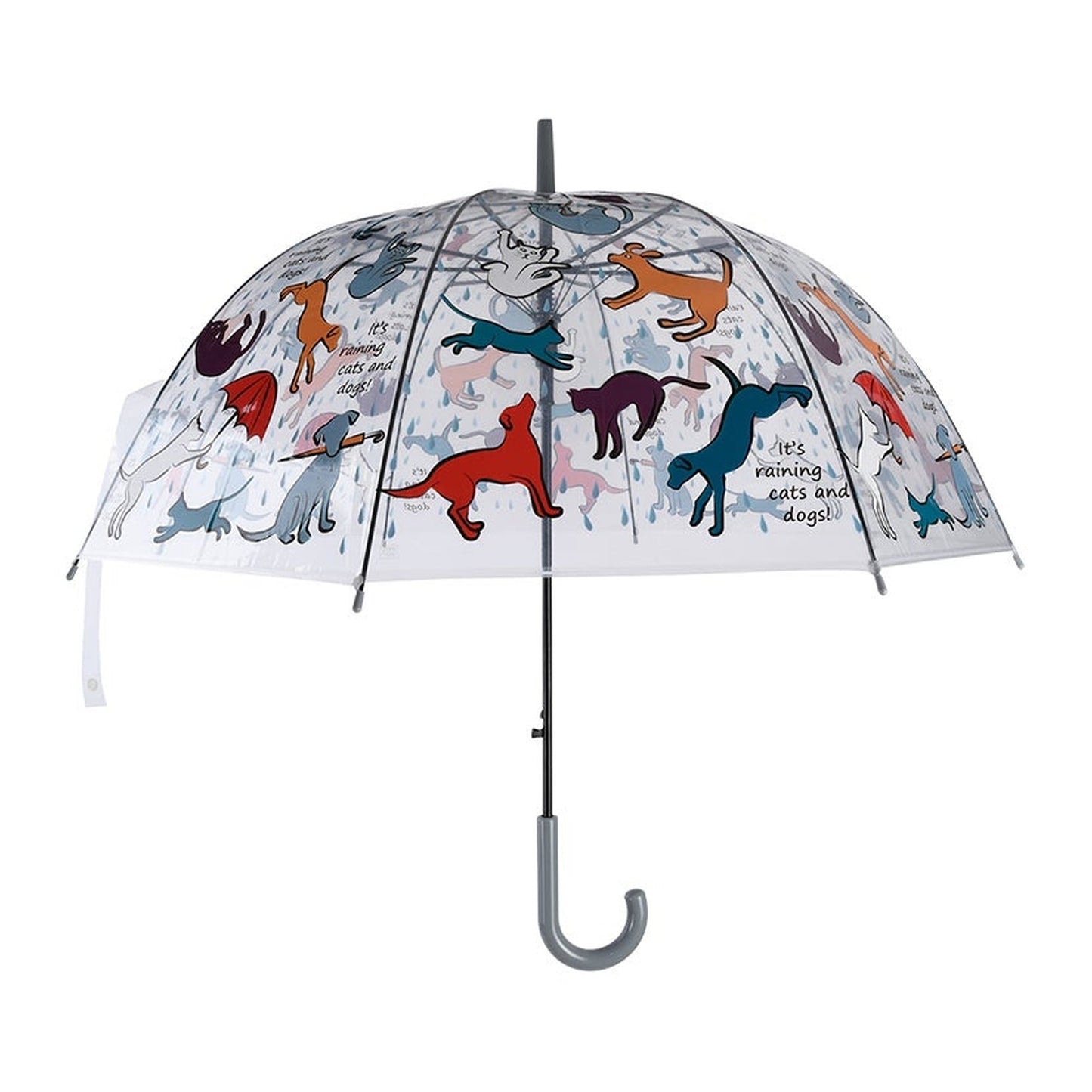 Parapluie transparent It's Raining Cats &amp; Dogs