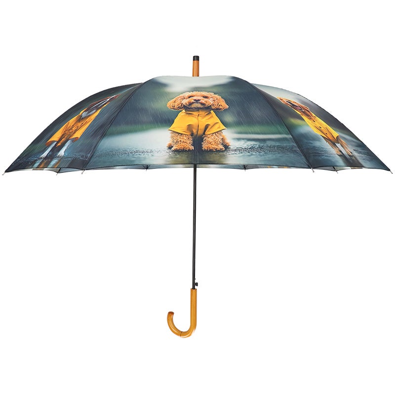 Umbrella  Dogs With Rain Jacket